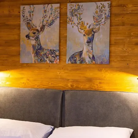 Apartmán Rezidence Kupec Frymburk